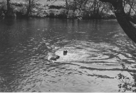 cc8-2-4.jpg
