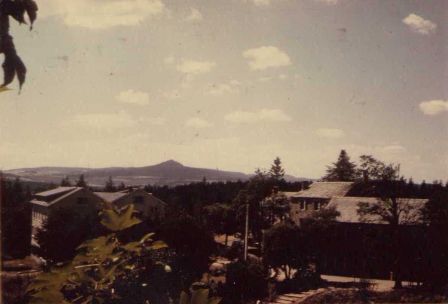 img008_1.jpg