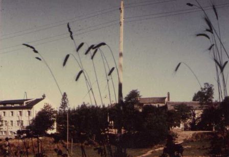 img008_2.jpg