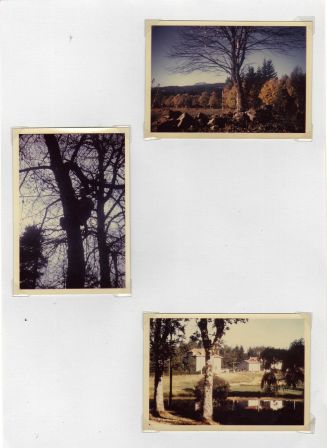 img013.jpg