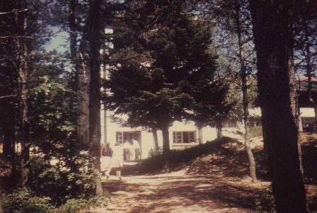 img014_1.jpg