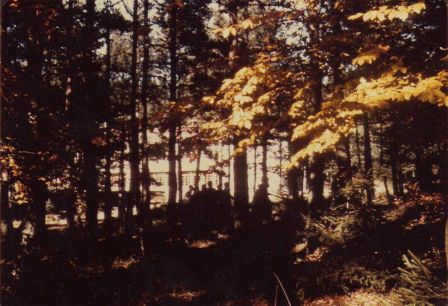 img014_2.jpg