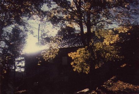img014_3.jpg