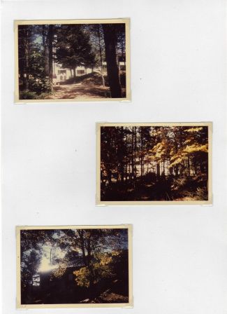 img014.jpg