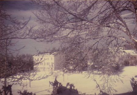 img022_1.jpg