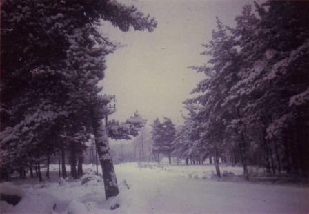 img022_3.jpg