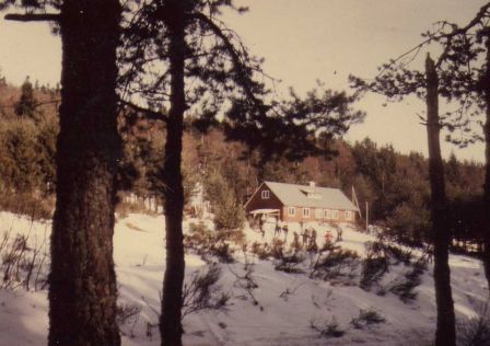 img023_1.jpg