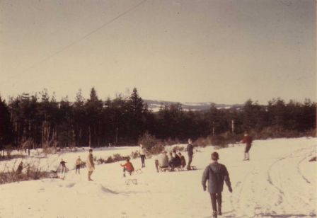 img023_3.jpg