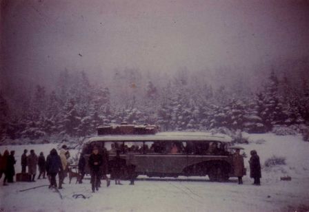 img025_1.jpg