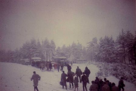 img025_2.jpg