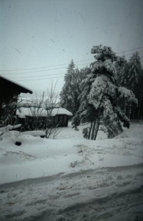 CC_66-67_A01.jpg