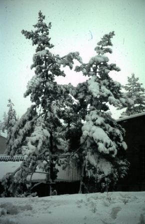 CC_66-67_A02.jpg