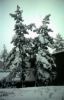 CC_66-67_A02.jpg