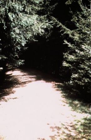 CC_66-67_A06.jpg