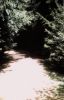CC_66-67_A06.jpg