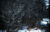 CC_66-67_A07.jpg