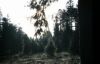 CC_66-67_A09.jpg