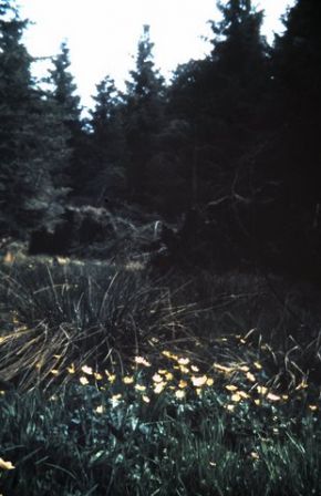CC_66-67_A10.jpg