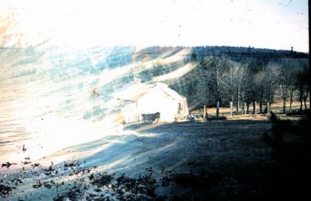 CC_66-67_A12.jpg