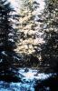 CC_66-67_A14.jpg