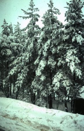 CC_66-67_A15.jpg