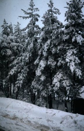 CC_66-67_A16.jpg