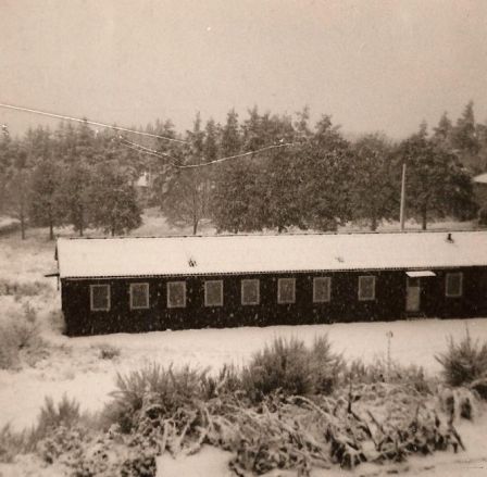 CC1-3.jpg