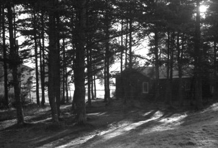 bw022.jpg